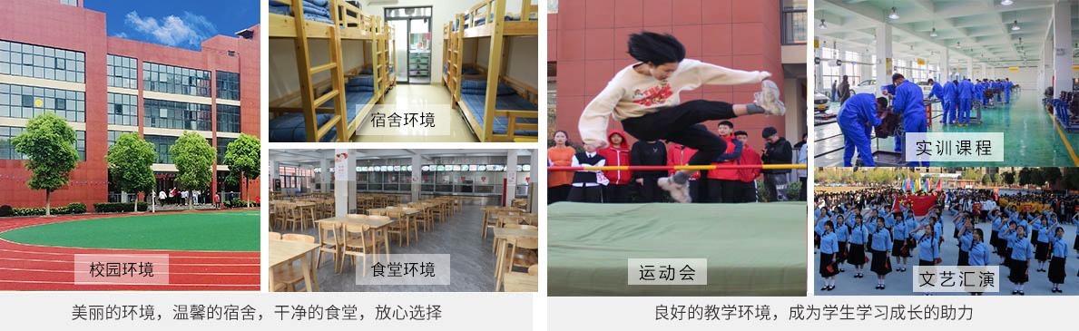 学校环境优美
